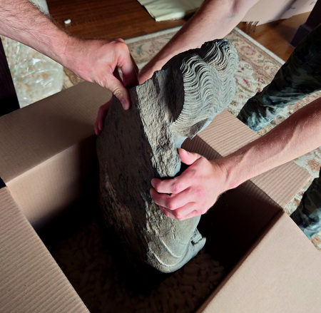 packing-statue